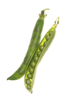 Beyaz zemin üzerinde bir bakla içinde taze çiğ yeşil bezelye