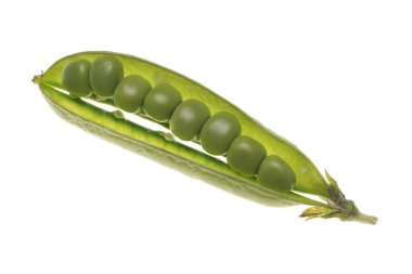 Beyaz zemin üzerinde bir bakla içinde taze çiğ yeşil bezelye