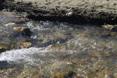 Çakıl taşları, kum ve kuru yapraklarla çevrili dağ deresi