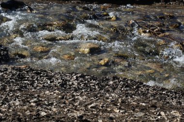 Çakıl taşları, kum ve kuru yapraklarla çevrili dağ deresi