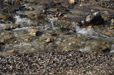 Çakıl taşları, kum ve kuru yapraklarla çevrili dağ deresi