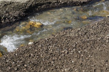 Çakıl taşları, kum ve kuru yapraklarla çevrili dağ deresi