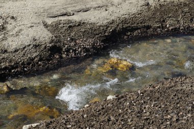 Çakıl taşları, kum ve kuru yapraklarla çevrili dağ deresi