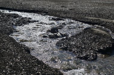 Çakıl taşları, kum ve kuru yapraklarla çevrili dağ deresi