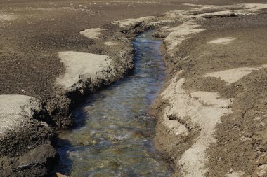Kumla çevrili dağ deresi