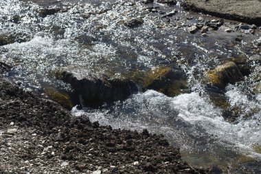 Çakıl taşları, kum ve kuru yapraklarla çevrili dağ deresi
