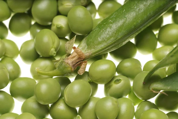 Guisantes verdes frescos y vaina vacía sobre fondo blanco —  Fotos de Stock