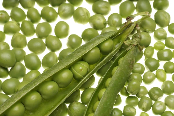 Guisantes verdes frescos en vainas sobre fondo blanco —  Fotos de Stock