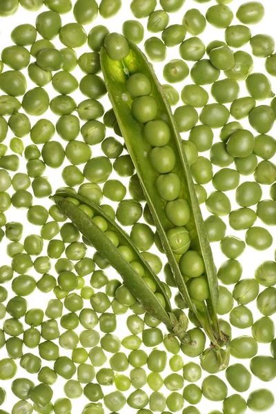 Guisantes verdes frescos en vainas sobre fondo blanco —  Fotos de Stock
