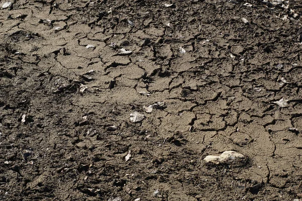 강가의 자갈, 모래와 흙 — 스톡 사진