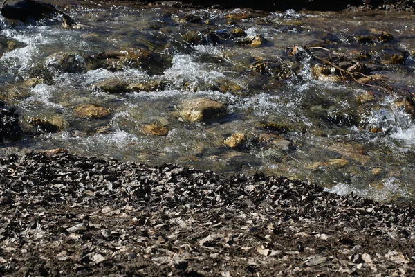 Çakıl taşları, kum ve kuru yapraklarla çevrili dağ deresi
