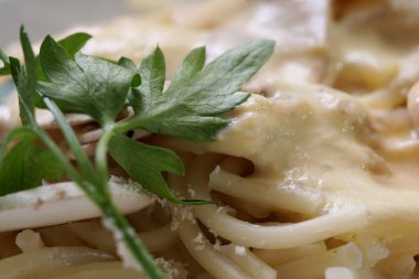 Mantar soslu spagetti ve maydanoz.