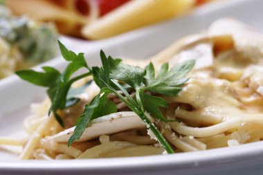 Mantar soslu spagetti ve maydanoz.