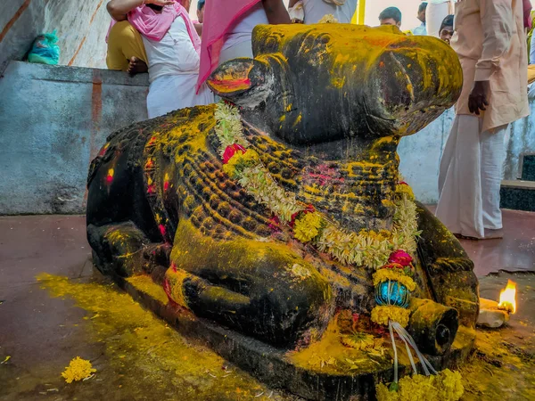 Imagen del toro sagrado vehículo de becerro del dios hindú Shiva —  Fotos de Stock