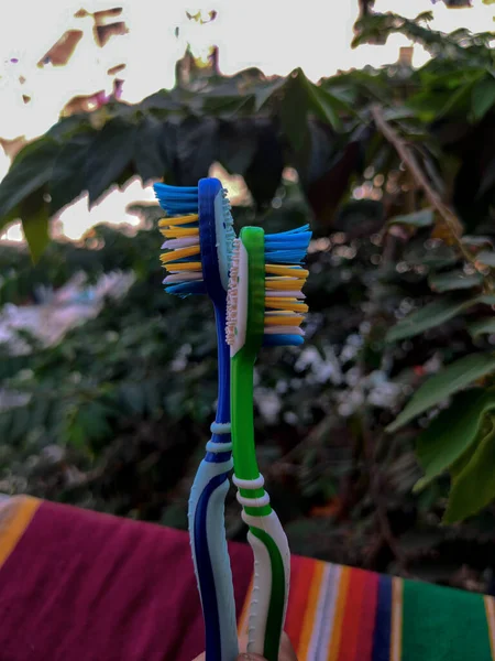 Imagen de un par de cepillos de dientes verdes y azules bajo cielo abierto con árbol en el fondo — Foto de Stock