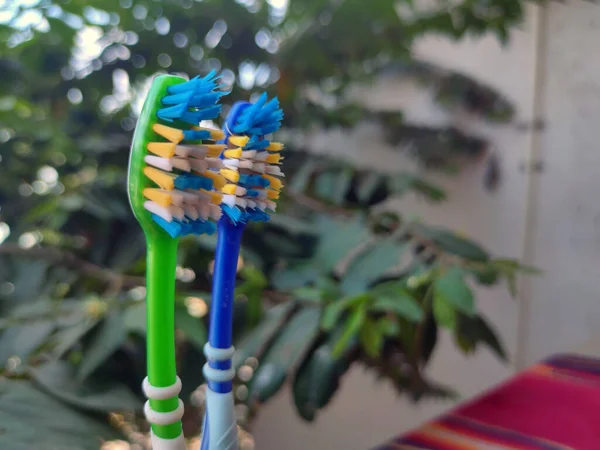Imagem de par de escova de dentes verde e azul sob céu aberto com árvore no fundo — Fotografia de Stock