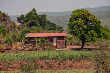 Tarımın ortasında küçük bir çiftlik evi.