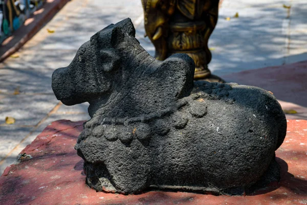 Древняя Статуя Быка Старом Индуистском Храме — стоковое фото