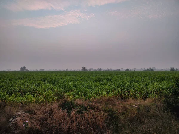 印第安村农业绿地图片 — 图库照片