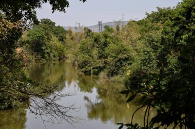 Hint köyündeki küçük nehrin güzel doğal manzarası.