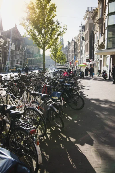 Gatorna i Amsterdam Nederländerna varm höst — Stockfoto