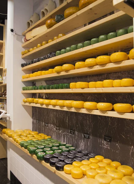 Showcase with delicious Dutch cheese — Stock Photo, Image
