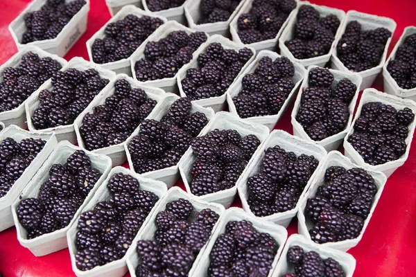 Useful berry blackberry juicy fresh background dark blue color — Stock Photo, Image