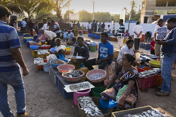 Ринку в Гоа продажу та купівлі свіжу рибу в пакети з льодом — стокове фото