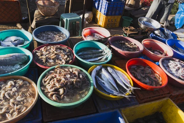 Mercado em Goa venda e compra de peixe fresco em pacotes de gelo — Fotografia de Stock