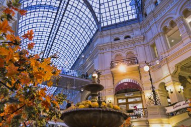 sonbahar sebze kabak sonbahar sebze sezon