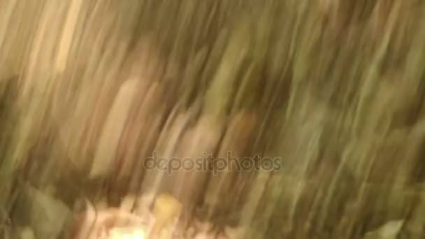 Asiatique moniteur d'eau lézard attaques photographe 