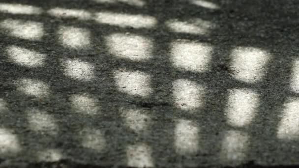 Абстрактная Красота Геометрический Узор Природе Тень Китайского Веера Пальмовые Листья — стоковое видео