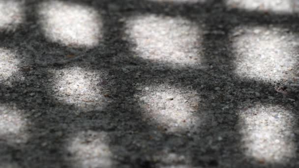 抽象的自然美和几何图案 风化砂砾混凝土地面上摇曳美丽的中国扇棕榈树花纹影子 — 图库视频影像