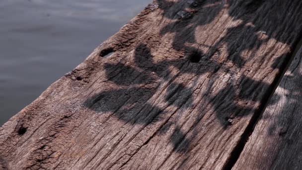 Prachtig Gereflecteerde Boom Blad Schaduwen Aan Rand Van Verweerde Houten — Stockvideo