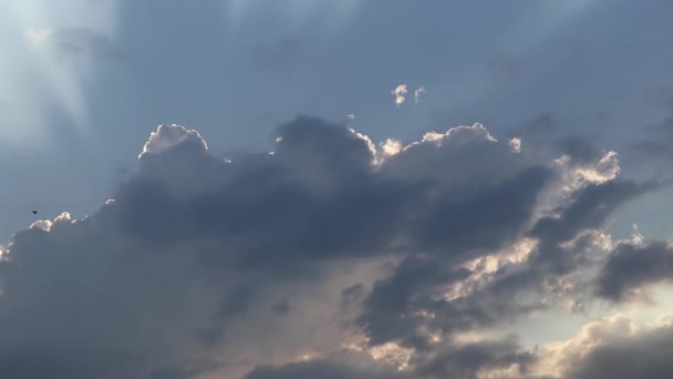 柔らかいフォーカス美しい早い日没の空 ゆっくりと雲と空飛ぶ鳥 — ストック動画