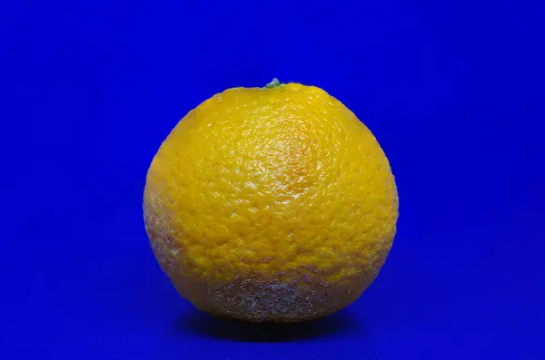 Amarillo Azul Mandarina Cítricos Fondo Fruta Jugoso Brillante Redondo Naranja —  Fotos de Stock