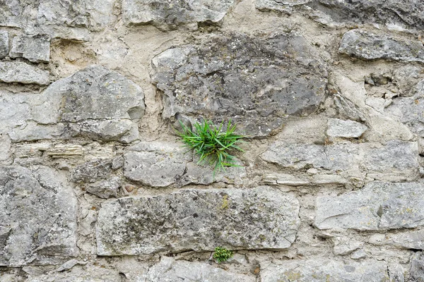 Часть каменной стены для фона или текстуры. Серая каменная стена на фоне ярко-зеленой дикой травы. Фон каменной стены для баннеров, флаеров и дизайна — стоковое фото