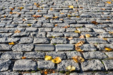 Gri kaldırım taşı sonbahar yaprakları bir taş döşeme veya geçit arka plan. Sonbahar arka plan.