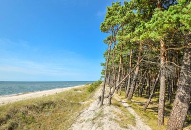 Baltık Denizi manzarasına güzel yaz çakıl kum plaj ve çam ormanı, parlak mavi gökyüzü, Curonian Spit, Klaipeda, Litvanya. Fırtınalı denizde ve insanlar olmadan ıssız bir kumsal. Manzara.