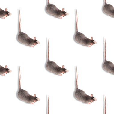 Ret, beyaz, pürüzsüz bir şekilde izole edilmiş. Kemirgen hayvanı