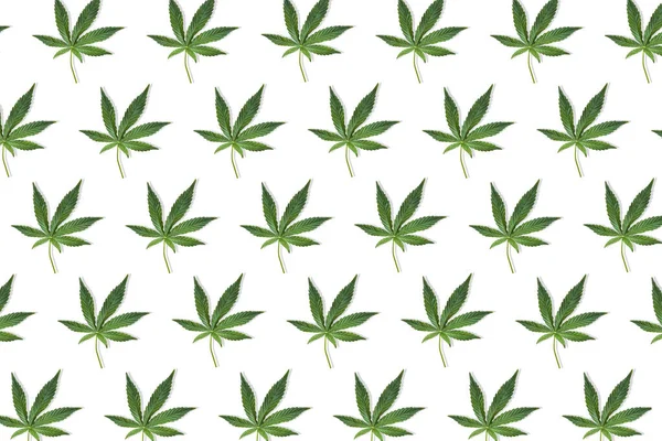 Hanf- oder Cannabisblattmuster auf weißem Hintergrund. — Stockfoto