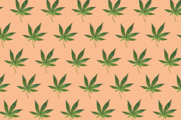 Cânhamo ou folha de cannabis isolado no fundo branco. Vista superior, deitado plano. Modelo ou mock up . — Fotografia de Stock