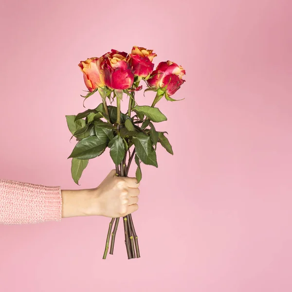 Όμορφο μπουκέτο από ροζ τριαντάφυλλα σε γυναικείο χέρι σε ροζ φόντο. — Φωτογραφία Αρχείου