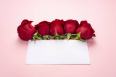 Večírek nebo pozvání na svatbu. Červená růže květiny uspořádání s prázdnou kartou, na světle růžové pozadí
