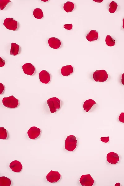 Petale de trandafir roșu pe fundal roz deschis . — Fotografie, imagine de stoc