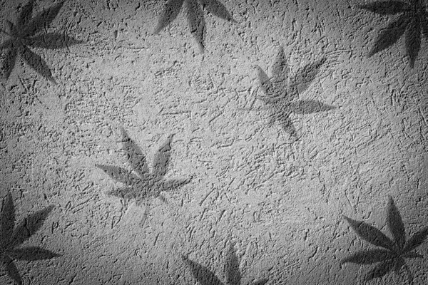 麻や大麻は灰色のセメントの壁に影がオーバーレイとパターンを残します. — ストック写真
