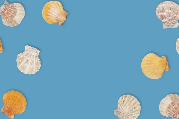 Sea pattern with sea shells, top view, flat lay. Summer concept. Different sea shells on blue background.