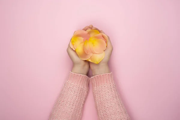 Petale de trandafiri roz și portocaliu în mâinile femeilor pe fundal roz. Conceptul de îngrijire personală sau prezentă — Fotografie, imagine de stoc