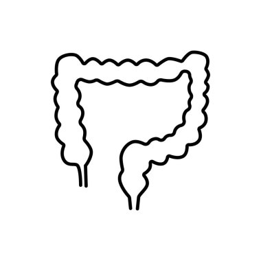 İnsan bağırsağı ya da kalın bağırsak işareti. Basit çizgi vektör simgesi. İç insan organı.