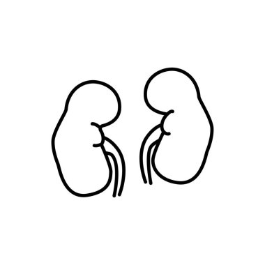 İnsan böbreği bağırsak belirtisi. Basit çizgi vektör simgesi. İç insan organı.